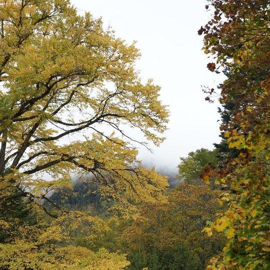 Kankoso Katashina Buitenkant foto